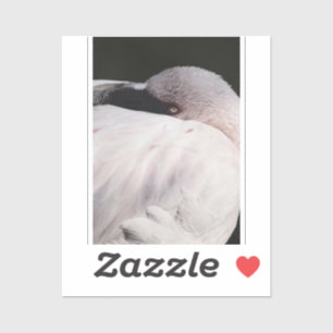 Porträt-Zeichnungseffekt Kunst Rosa Flamingo Aufkleber