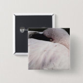Porträt-Zeichnungseffekt Kunst Rosa Flamingo Button (Vorne & Hinten)