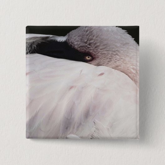 Porträt-Zeichnungseffekt Kunst Rosa Flamingo Button (Vorderseite)