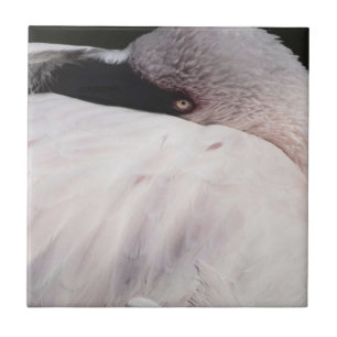 Porträt-Zeichnungseffekt Kunst Rosa Flamingo Fliese