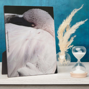 Porträt-Zeichnungseffekt Kunst Rosa Flamingo Fotoplatte