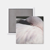 Porträt-Zeichnungseffekt-Kunst rosa Flamingo Magnet (Vorderseite/Rückseite)
