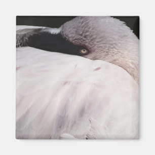 Porträt-Zeichnungseffekt-Kunst rosa Flamingo Magnet
