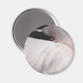 Porträt-Zeichnungseffekt Kunst Rosa Flamingo Magnet (Vorderseite/Rückseite)