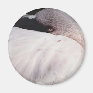 Porträt-Zeichnungseffekt Kunst Rosa Flamingo Magnet