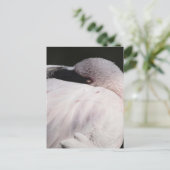 Porträt-Zeichnungseffekt-Kunst Rosa Flamingo Postkarte (Stehend Vorderseite)