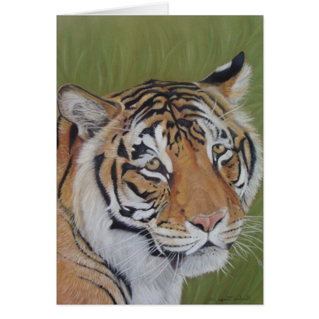 Porträtbild der großen Tigerkatze (Vorne)