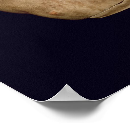 Porträtbüste des Kaisers Trajan Poster (Ecke)