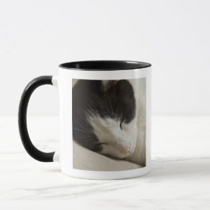 Porträtdetail eines Hauskatzeschlafens Tasse