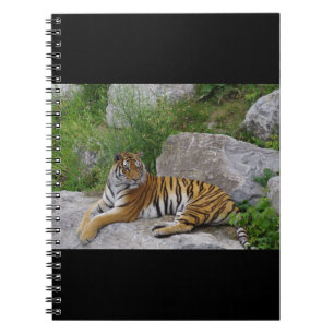 Porträtfoto eines Sibirischen Tigers Notizblock