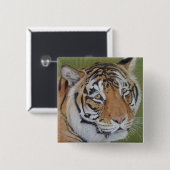 Porträtmalerei auf Tiger mit traurigen Augen große Button (Vorne & Hinten)
