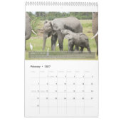 Porträts einer Elefantenlebenslang Kalender (Feb 2027)