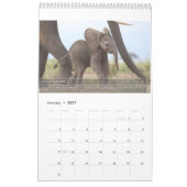 Porträts einer Elefantenlebenslang Kalender (Jan 2027)