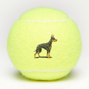Porträts eines Dobermann-Hundes Vorderansicht Tennisbälle