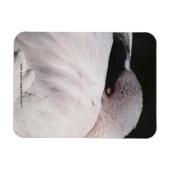 Porträtzeichnung Effekt Kunst Rosa Flamingo Magnet (Horizontal)