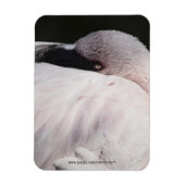 Porträtzeichnung Effekt Kunst Rosa Flamingo Magnet (Vertikal)