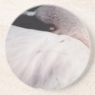 Porträtzeichnungseffekt Kunst Rosa Flamingo Untersetzer