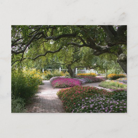 Portsmouth Garden Postkarte (Vorderseite)