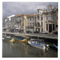 Portugal, Aveiro. Moliceiros (Algensammlung)