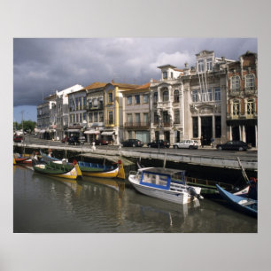 Portugal, Aveiro. Moliceiros (Algensammlung) Poster