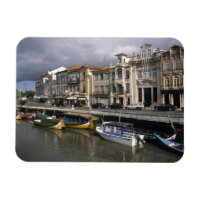 Portugal, Aveiro. Moliceiros (Seetang