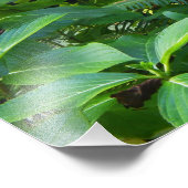 Portugal Fotodruck (Ecke)