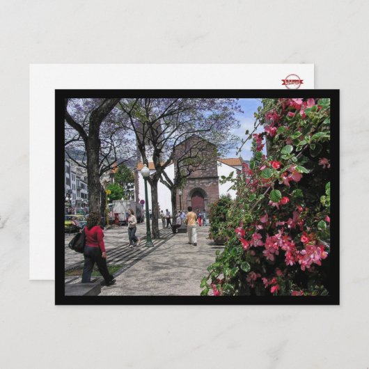 (Portugal) Funchal, Madeira Postcard Postkarte (Vorne/Hinten)