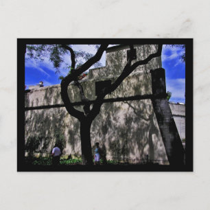 (Portugal) Funchal, Madeira Postcard Postkarte