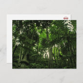 Portugal Madeira: Die Canopy of Lushness Postcard Postkarte (Vorne/Hinten)