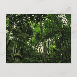 Portugal Madeira: Die Canopy of Lushness Postcard Postkarte
