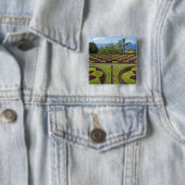 Portugal, Madeira, Funchal. botanisch Button (Beispiel)