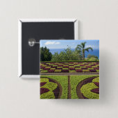 Portugal, Madeira, Funchal. botanisch Button (Vorne & Hinten)