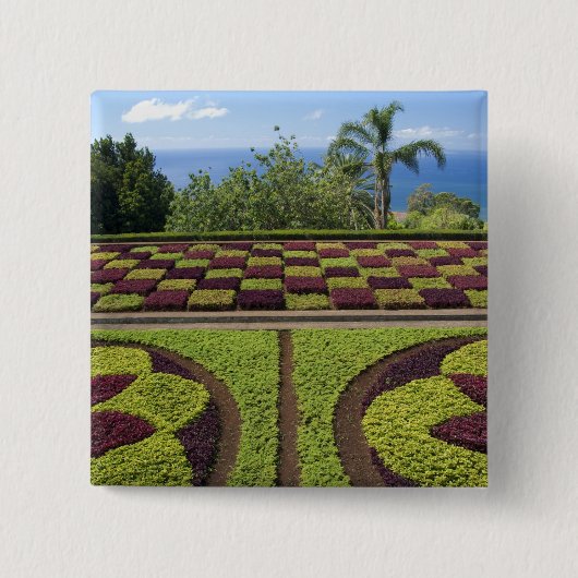 Portugal, Madeira, Funchal. botanisch Button (Vorderseite)