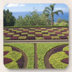 Portugal, Madeira, Funchal. botanisch Getränkeuntersetzer