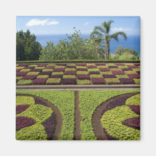 Portugal, Madeira, Funchal. botanisch Magnet