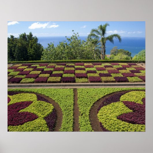 Portugal, Madeira, Funchal. botanisch Poster (Vorne)
