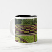 Portugal, Madeira, Funchal. botanisch Zweifarbige Tasse (Vorderseite Links)