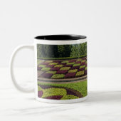 Portugal, Madeira, Funchal. botanisch Zweifarbige Tasse (Links)