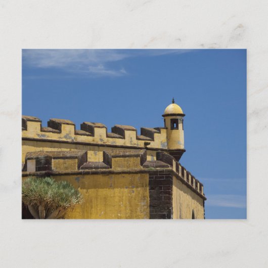 Portugal, Madeira, Funchal. Historisch Postkarte (Vorderseite)