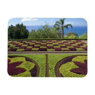 Portugal, Madeira Insel, Funchal. Botanisch Magnet