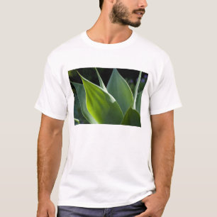 Portugal, Madeira Insel, Funchal. Botanisch T-Shirt