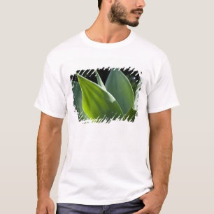 Portugal, Madeira Insel, Funchal. Botanisch T-Shirt