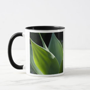 Portugal, Madeira Insel, Funchal. Botanisch Tasse