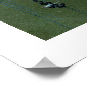 Portugese Man-o-war Poster (Ecke)