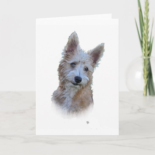 Portugiese Podengo Karte (Vorderseite)