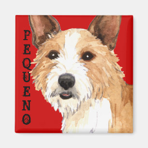 Portugiesisch Podengo Pequeno Magnet