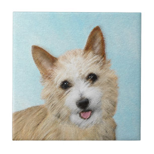 Portugiesisch Podengo Pequeno Malerei - Originelle Fliese