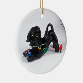 Portugiesische Keramik Ornament (Rechts)