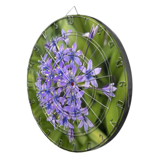 Portugiesische Squill-Blume Schließen Naturschutzg Dartscheibe (Vorderseite rechts)