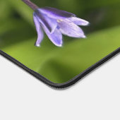 Portugiesische Squill-Blume Schließen Naturschutzg Schreibtischunterlage (Ecke)